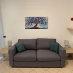 Garden Apartment- Near 아파트 코모